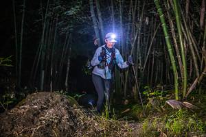 BIB: 
                            <button type="button" onclick="openModal(6947042)" class="btn btn-primary btn-sm float-right btn-popup" data-toggle="modal" data-target=".modal-high-quality">
                        <i class="fas fa-shopping-cart"></i> Add to Cart
                    </button>
                                            <button type="button" onclick="isThisMe(6947042, true)" class="btn btn-success btn-sm float-right btn-popup btn-isme hidden" data-toggle="tooltip" data-placement="bottom" title="นี่คือรูปของคุณใช่ไหม คลิกที่นี่เพื่อเอาเข้าอัลบั้ม">
                        <i class="fas fa-plus"></i> Add to album
                    </button>
                    <button type="button" onclick="isThisMe(6947042, false)" class="btn btn-warning btn-sm float-right btn-popup btn-isnotme hidden">
                        <i class="fas fa-ban"></i> Remove from album
                    </button>